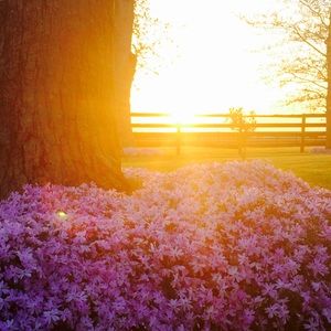 Meet your Posher, Carly